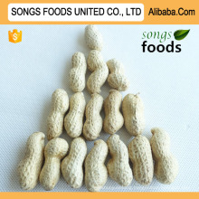 Chinese Raw Peanuts In Shell For Sale